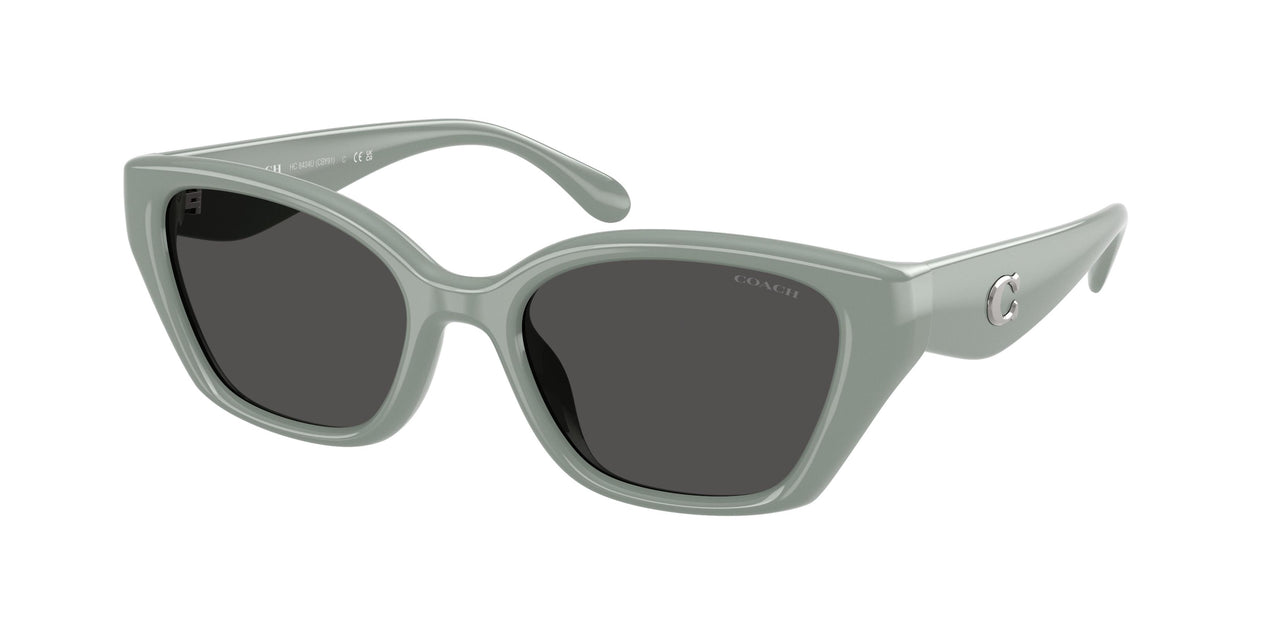 Coach Cby91 8434U Sunglasses