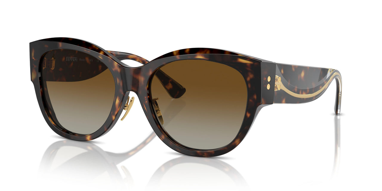 702/T5 - Tortoise - Brown Gradient Polar