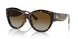 702/T5 - Tortoise - Brown Gradient Polar