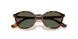 W65671 - Brown - Dark Green