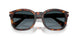 24/S3 - Tortoise - Light Blue Gradient Dark Blue