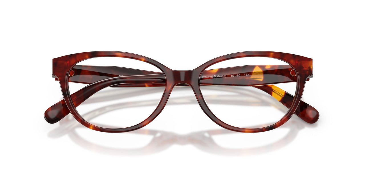 5938 - Tortoise