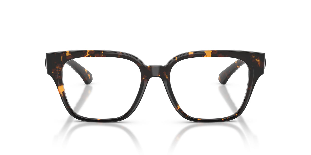 4106 - Tortoise