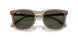 845731 - Brown - Blue