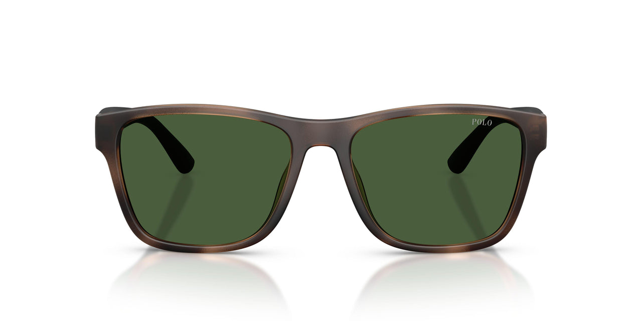 607071 - Tortoise - Bottle Green