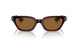 167553 - Red - True Brown