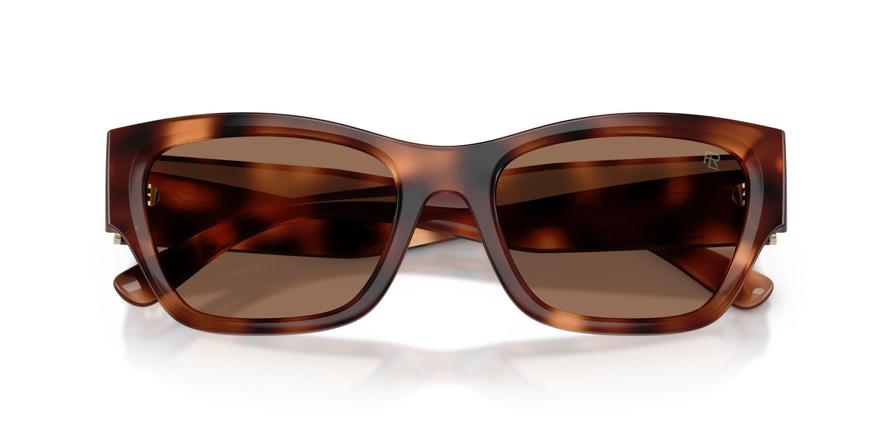 635173 - Tortoise - Brown