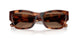 635173 - Tortoise - Brown