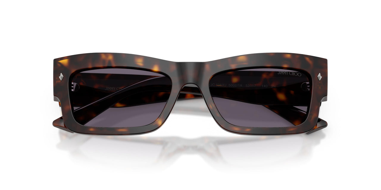 50021A - Tortoise - Violet