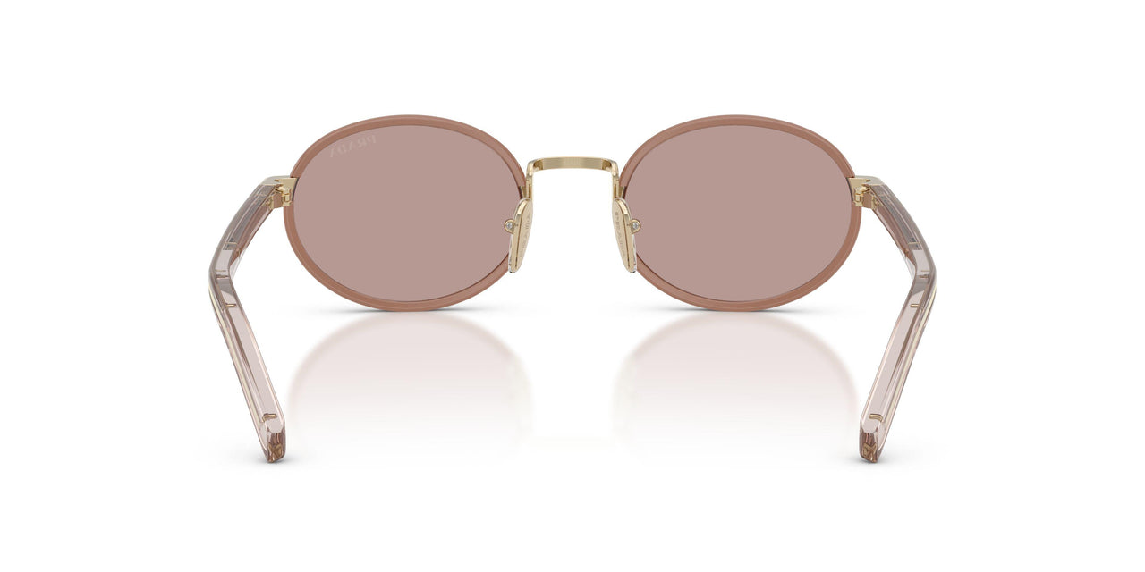 24E20I - Brown - Light Purple Brown