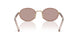 24E20I - Brown - Light Purple Brown