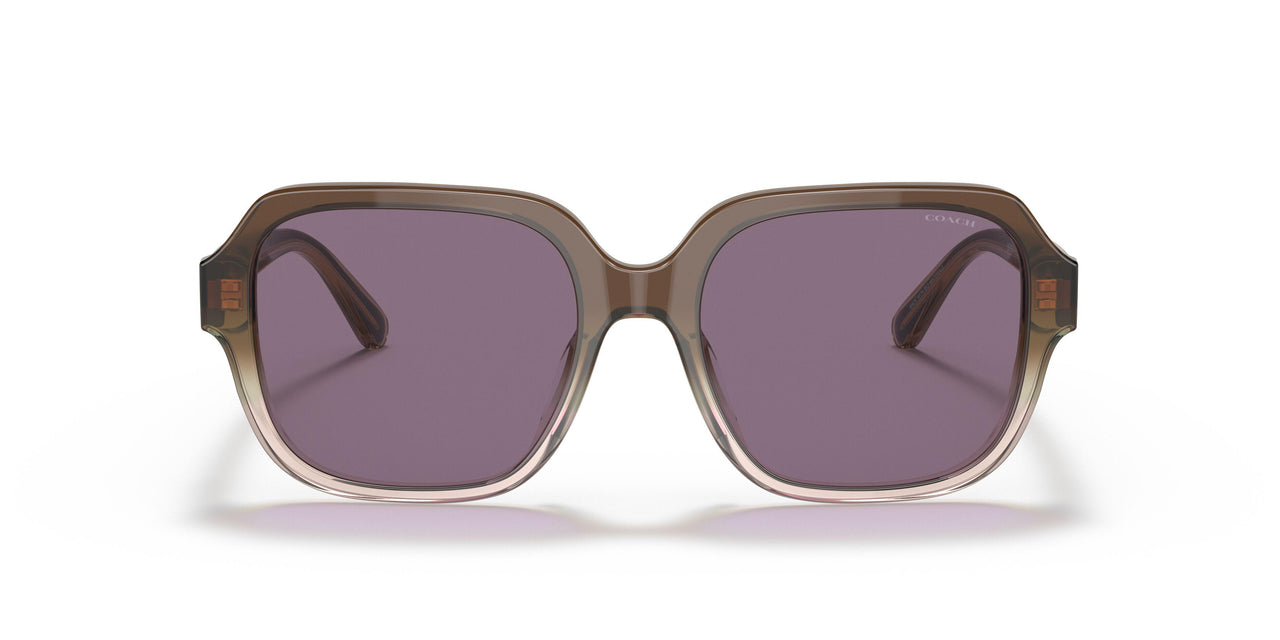 56781A - Brown - Violet Solid