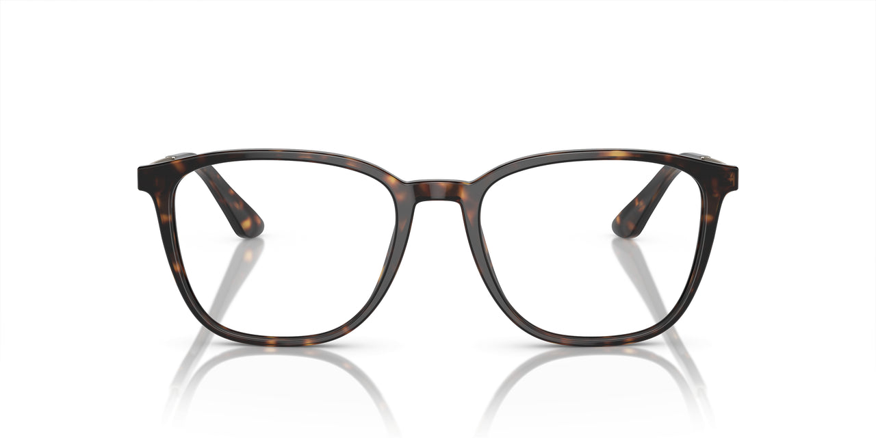 5026 - Tortoise