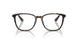 5026 - Tortoise