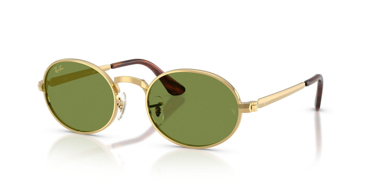 Ray-Ban 3931 Sunglasses