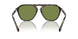 50034E - Brown - Green