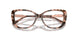3009 - Tortoise