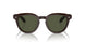 177252 - Brown - G-15