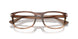 1207 - Tortoise - Clear