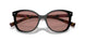 12O10D - Brown - Light Brown