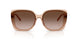 318113 - Brown - Gradient Dark Brown