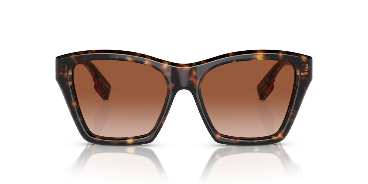 300213 - Brown - Brown Gradient
