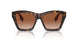 300213 - Brown - Brown Gradient