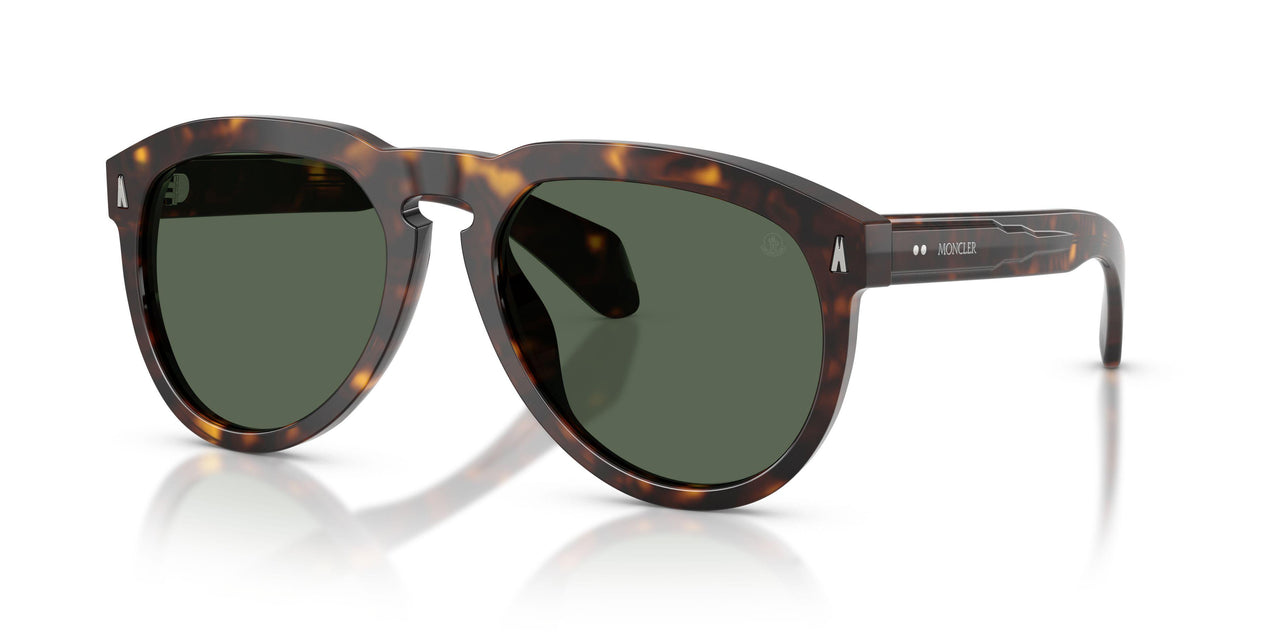 300271 - Tortoise - Solid Dark Green