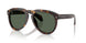 300271 - Tortoise - Solid Dark Green