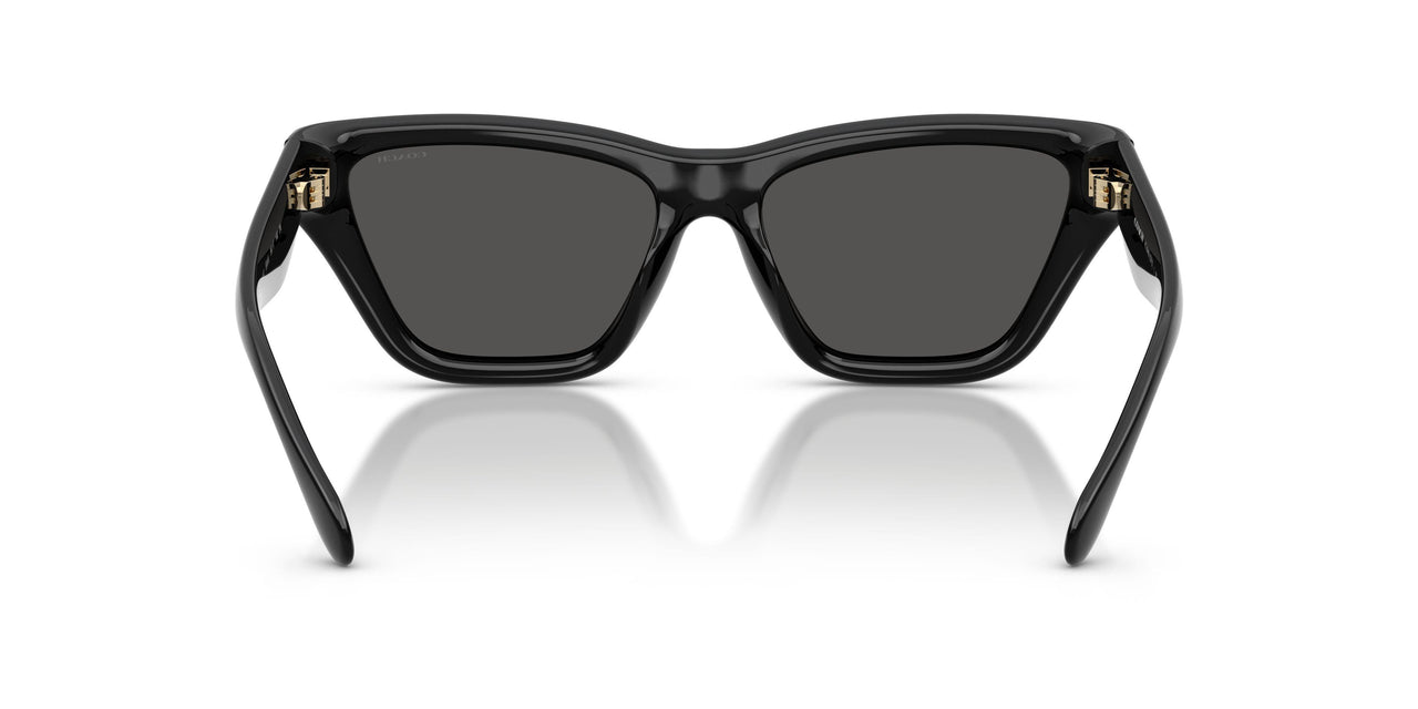 500287 - Black - Grey Solid