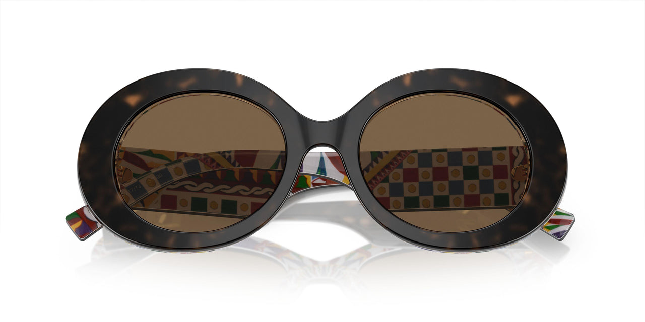 321773 - Tortoise - Dark Brown