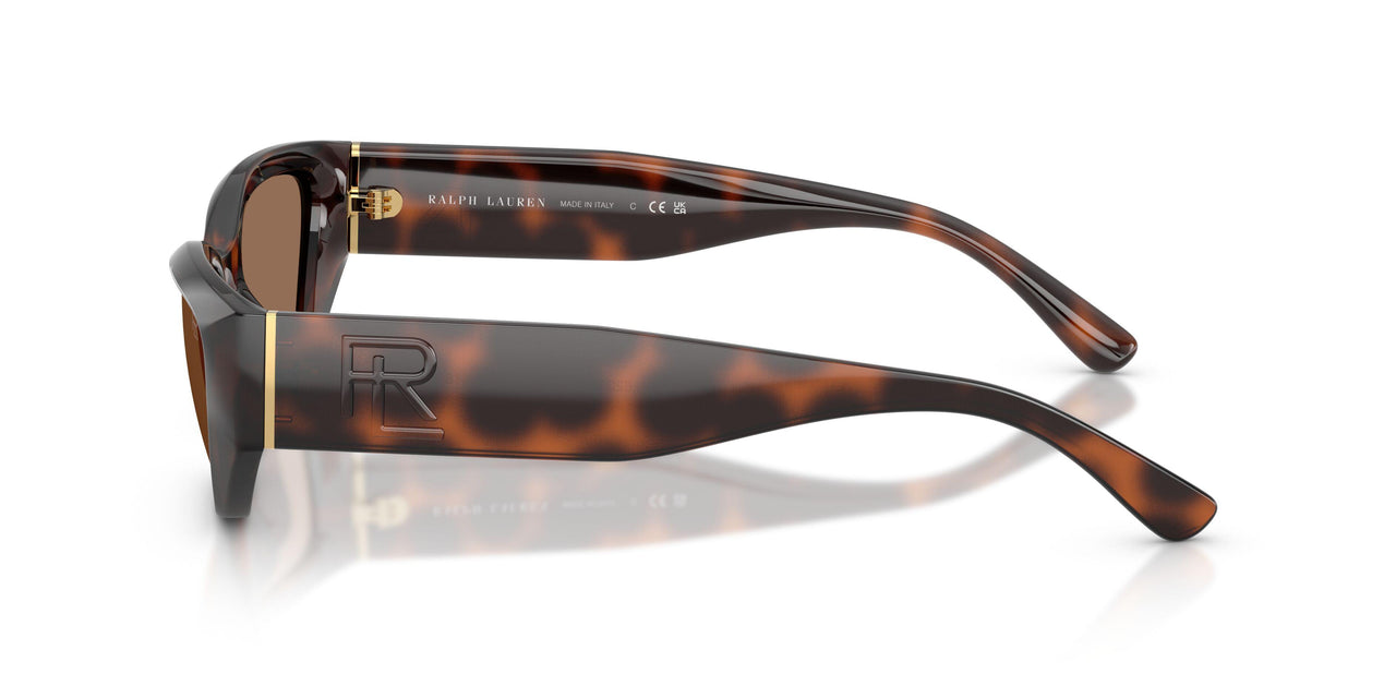 624173 - Tortoise - Brown
