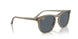 6765R5 - Brown - Blue