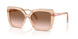 106313 - Brown - Gradient Brown
