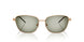 342713 - Brown - Green Gradient Green