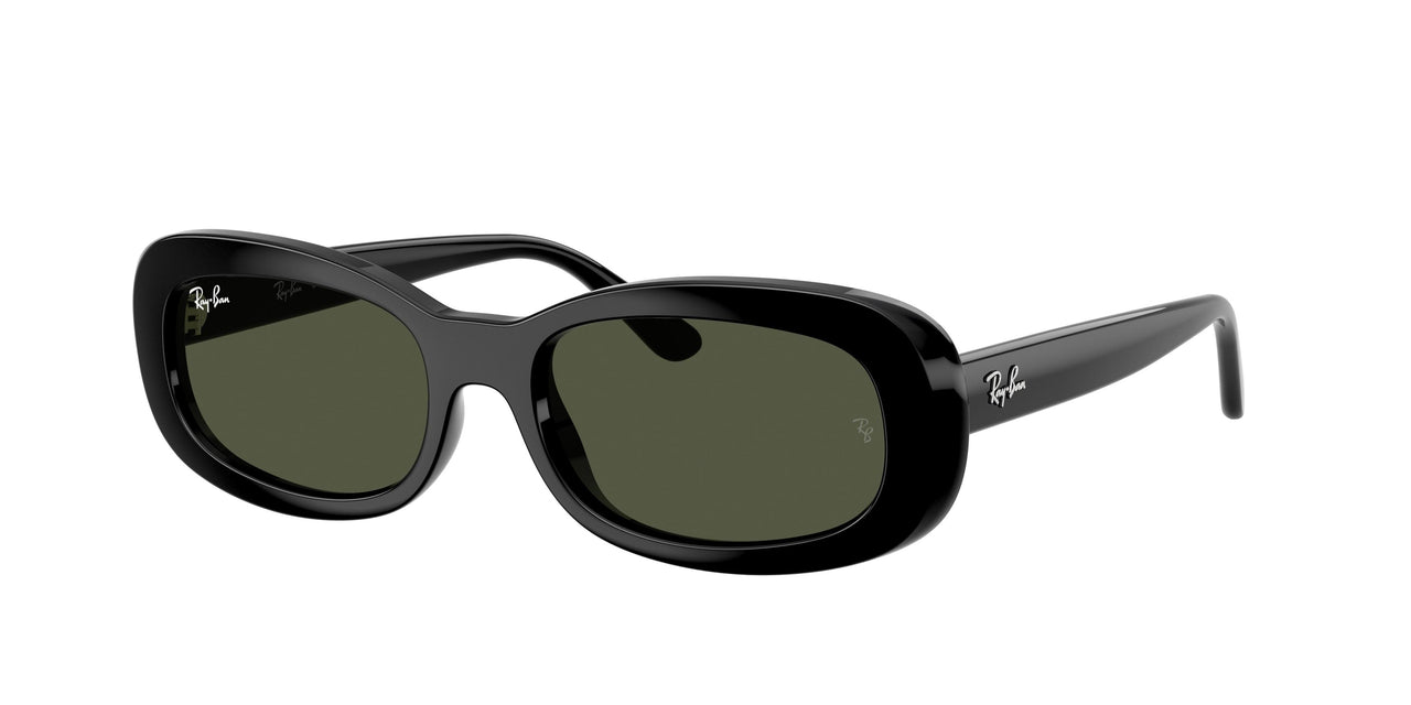 Ray-Ban 2221F Sunglasses