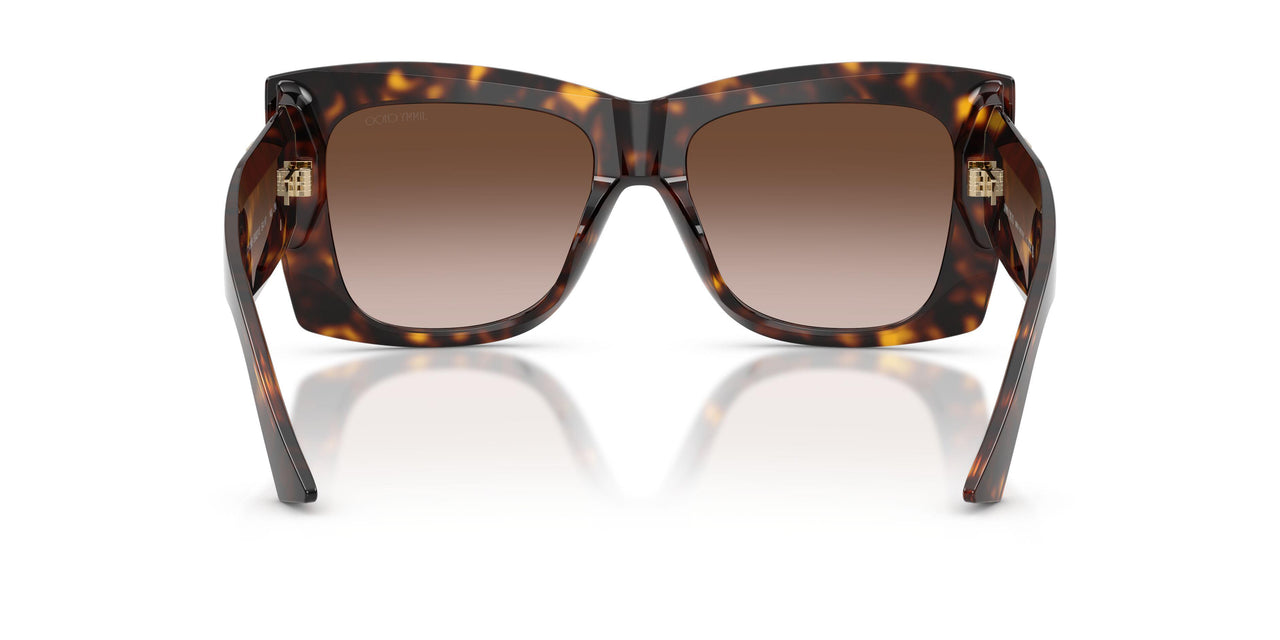 500213 - Tortoise - Gradient Brown