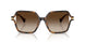 500313 - Tortoise - Gradient Brown
