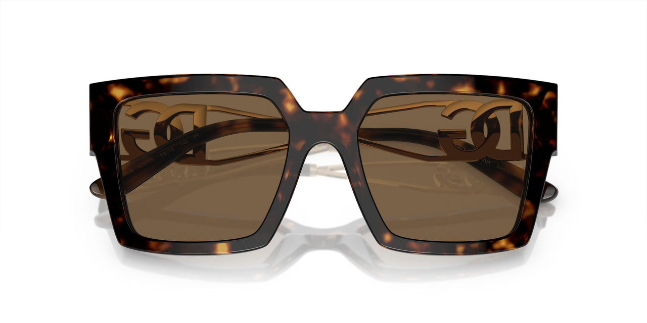 502/73 - Tortoise - Dark Brown