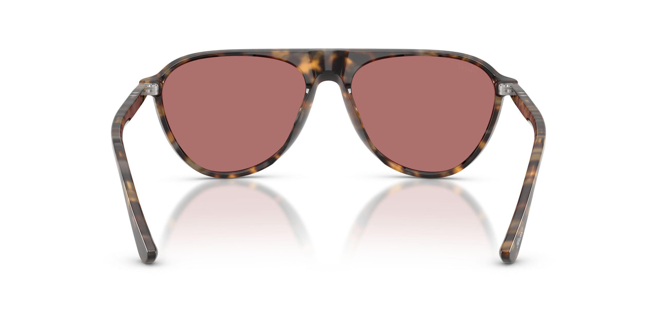 1251AK - Brown - Polarized Wine