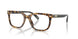 5881 - Tortoise