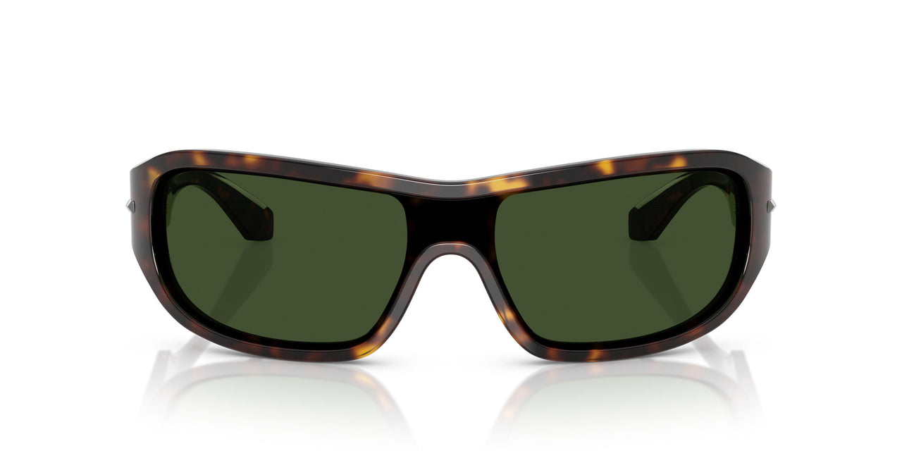 502/71 - Tortoise - Dark Green