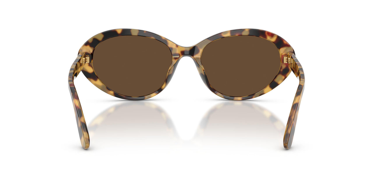 512/73 - Tortoise - Dark Brown
