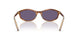 25O70W - Brown - Violet