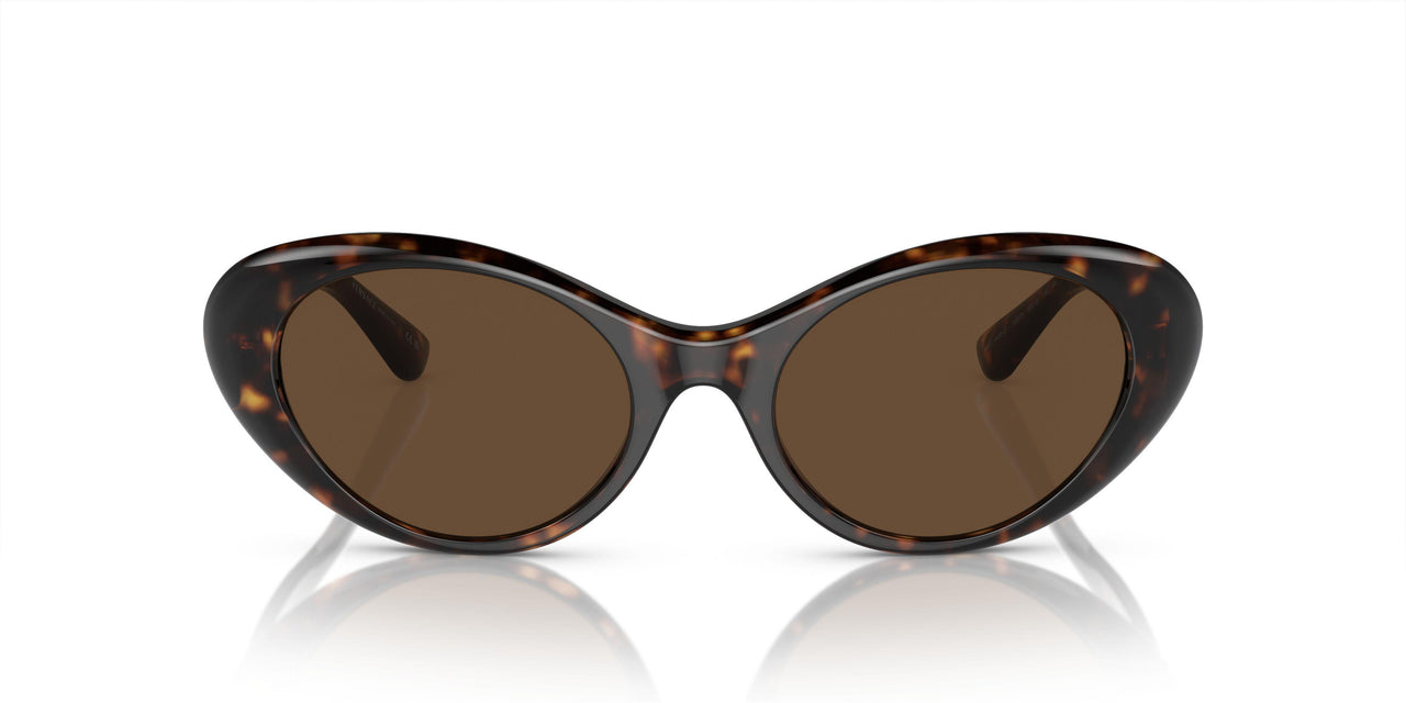 108/73 - Tortoise - Dark Brown