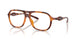 2003 - Tortoise
