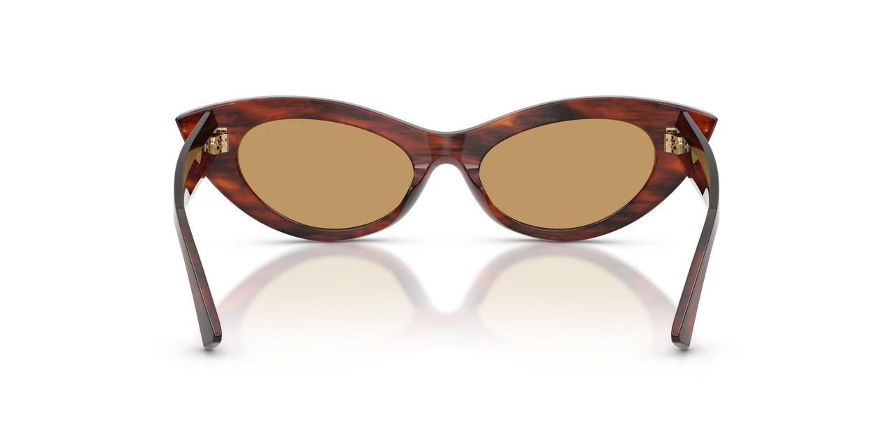 511273 - Tortoise - Brown
