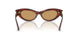 511273 - Tortoise - Brown