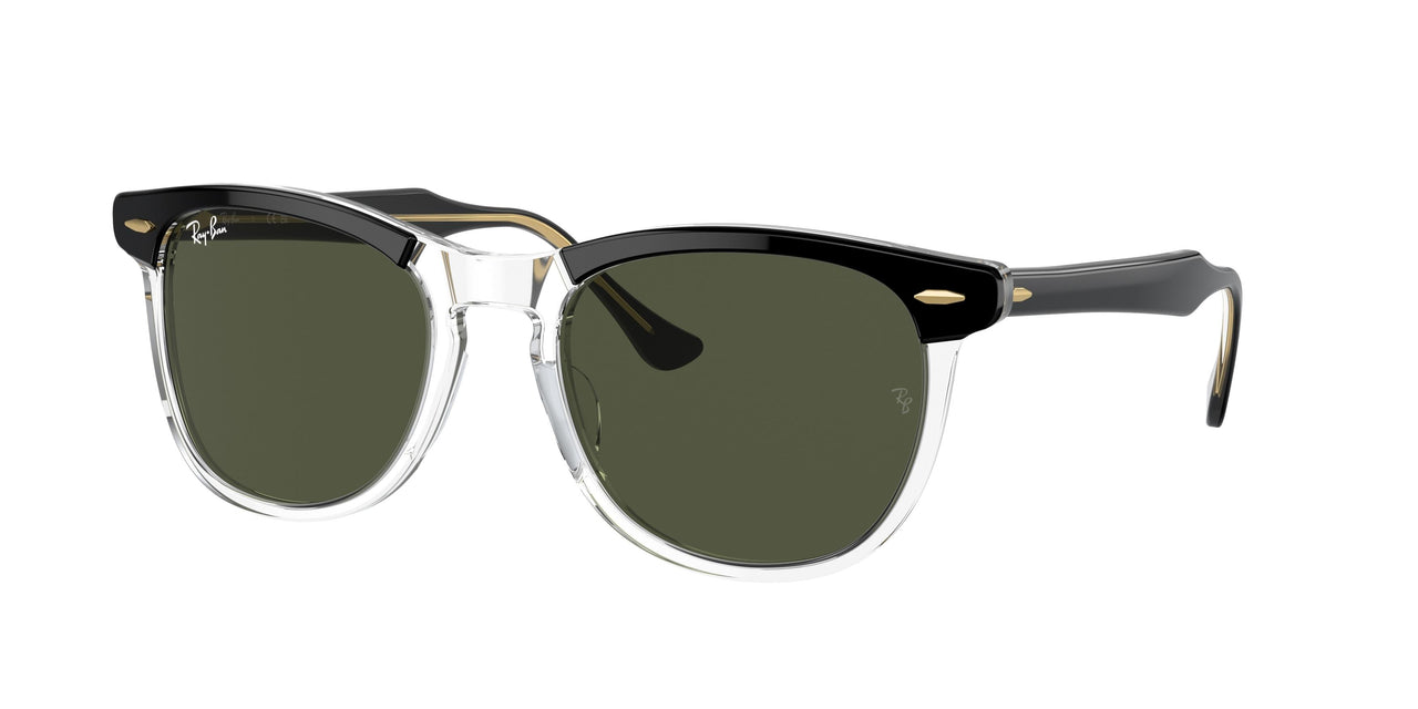 Ray-Ban Eagleeye 2398F Sunglasses