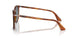 96/S3 - Brown - Gradient Blue Polar